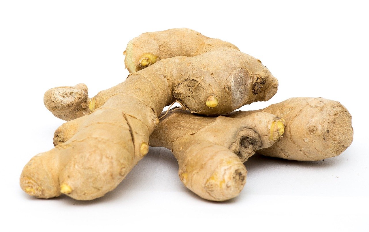 צמח בריא